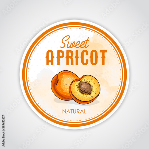 round label of fruits on watercolor background, apricot
