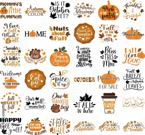 Set of autumn vector illustration. Nature quotes