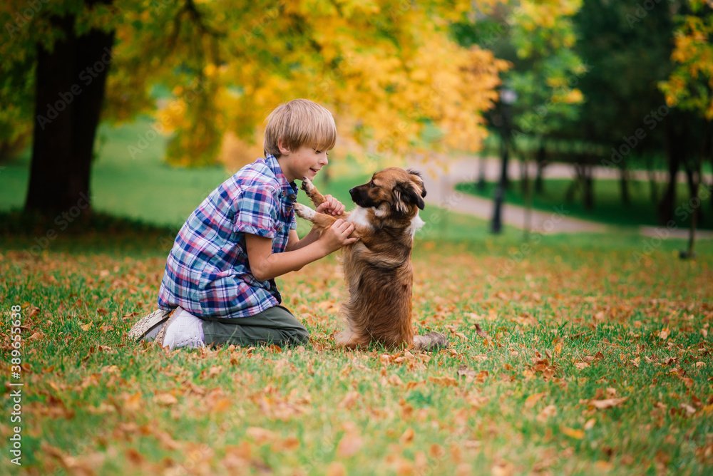 Cute boy playing and walking with his dog in a meadow. Cute boy playing and walking with his dog in a meadow.