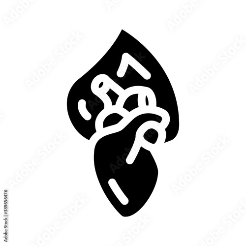 burning heart glyph icon vector illustration sign