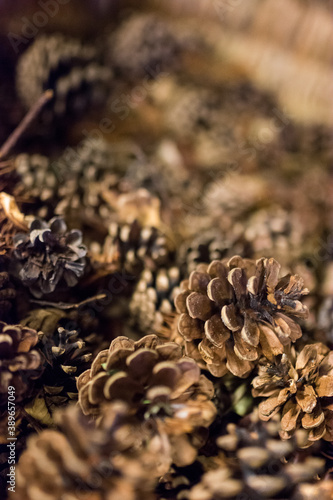 Naklejka Cones, blurred background