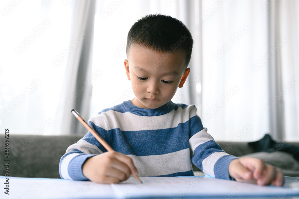 Asian Boy Doing homework with the intention. Child boy holding pencil writing, A boy drawing on white paper at the table, Elementary school and home schooling, Distance online Education concept. Asian Boy Doing homework with the intention. Child boy holding pencil writing, A boy drawing on white paper at the table, Elementary school and home schooling, Distance online Education concept.