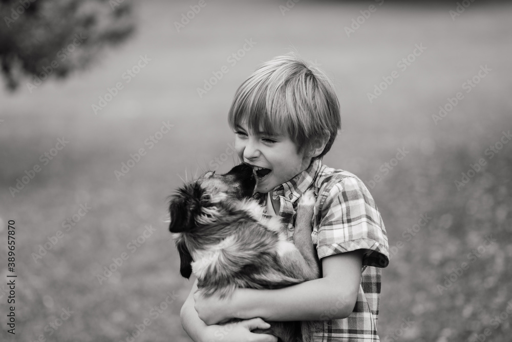Cute boy playing and walking with his dog in a meadow. Cute boy playing and walking with his dog in a meadow.