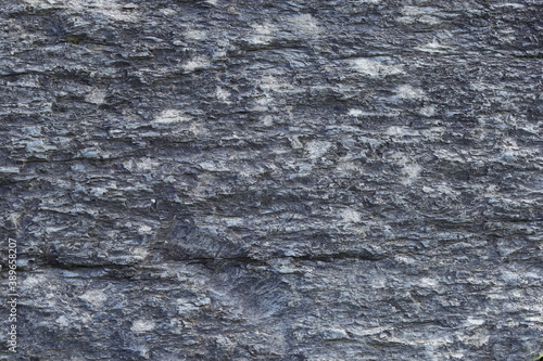 Close up of stone texture in the forest, highly detailed