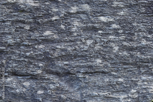 Close up of stone  texture in the forest, highly detailed