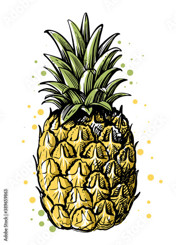 pineapple on white background with leaves in sketch style