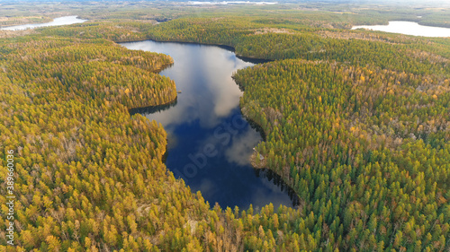Finland landscape from the air with drone, lake and pine forest, panorama, autumn day © M.V.schiuma