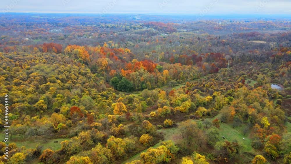 Rising up over an arboretum and valley during fall at peak foliage Rising up over an arboretum and valley during fall at peak foliage