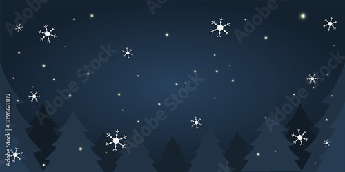 Vector illustration, the night sky of the Chrismas day.