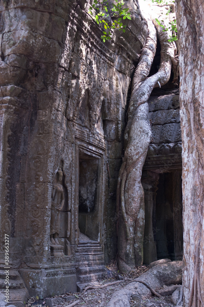 Les temples d'Angkor au Cambodge
Les temples d'Angkor au Cambodge