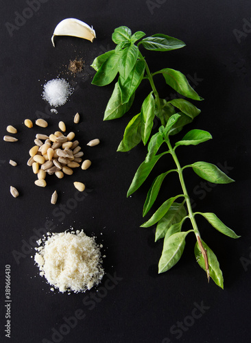 Wallpaper Mural Basil Pesto ingredients Torontodigital.ca