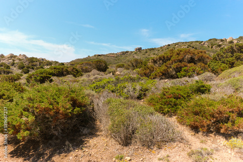 Sardinian mountains with bushes and dry grass