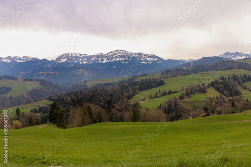 Beautiful green field landscape and snowy mountain in the background.