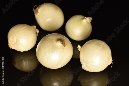 Ripe white organic onions  close-up  on a black background.