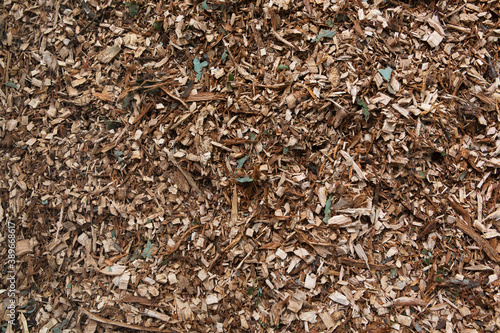Pile of arborist wood chips used as a natural mulch in organic gardening