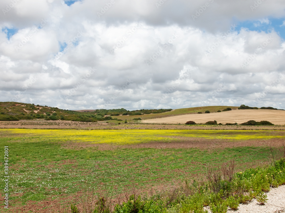 view of green rural area against clouds sky. Spain, Andalusia view of green rural area against clouds sky. Spain, Andalusia