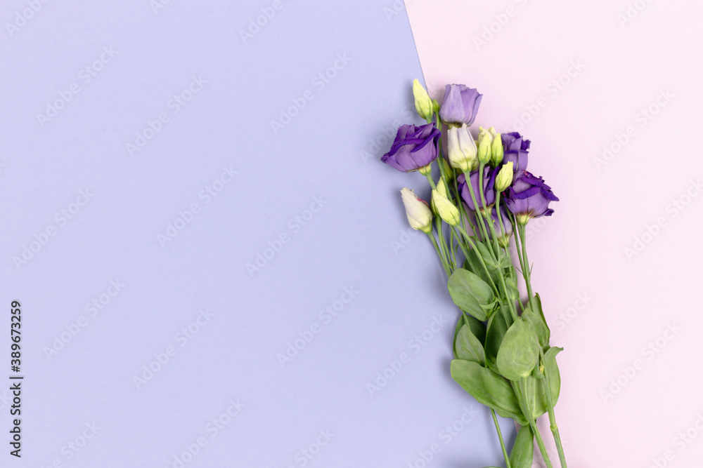 Violet eustoma flowers on a purple pastel background. Floral composition with place for text. Violet eustoma flowers on a purple pastel background. Floral composition with place for text.