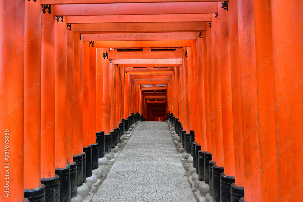 Torii de Fushimi Inari près de Kyoto