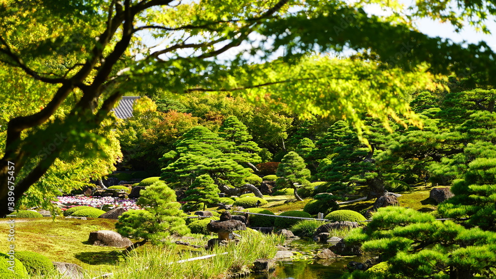 日本庭園の風景 日本庭園の風景