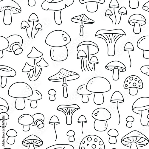 Seamless pattern with mushrooms. Black and white thin line icons