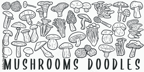 Mushrooms doodle icon set. Autumn Vector illustration collection. Banner Hand drawn Line art style.