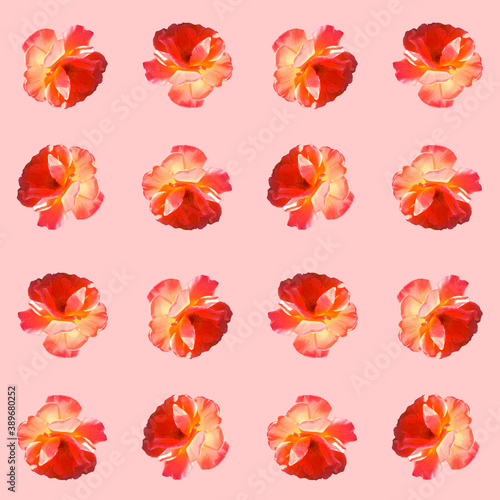 Seamless pattern with roses on a pink background. Flat lay, top view. Pop art creative design for textile, fashion, wallpaper, fabric, wrapping paper.