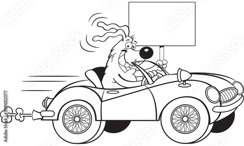 Black and white illustration of a dog driving a convertible sports car with wire wheels while holding a sign.