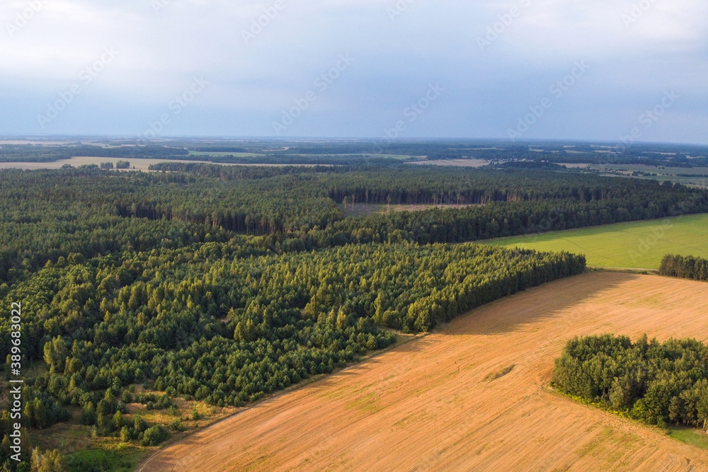 Naklejka premium Agricultural field and forest, aerial view of summer landscape
