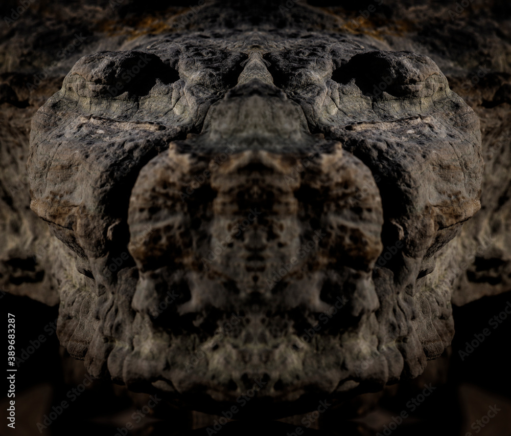 Abstract background of a stone anaconda head. Abstract background of a stone anaconda head.