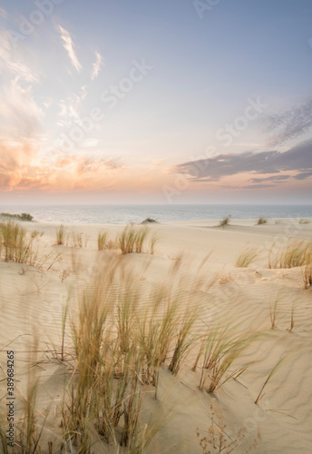 Fotografia Sand dunes in Kaliningrad. Natural background. Sunrise.