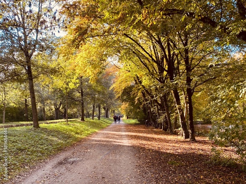 Beautiful autumn colors