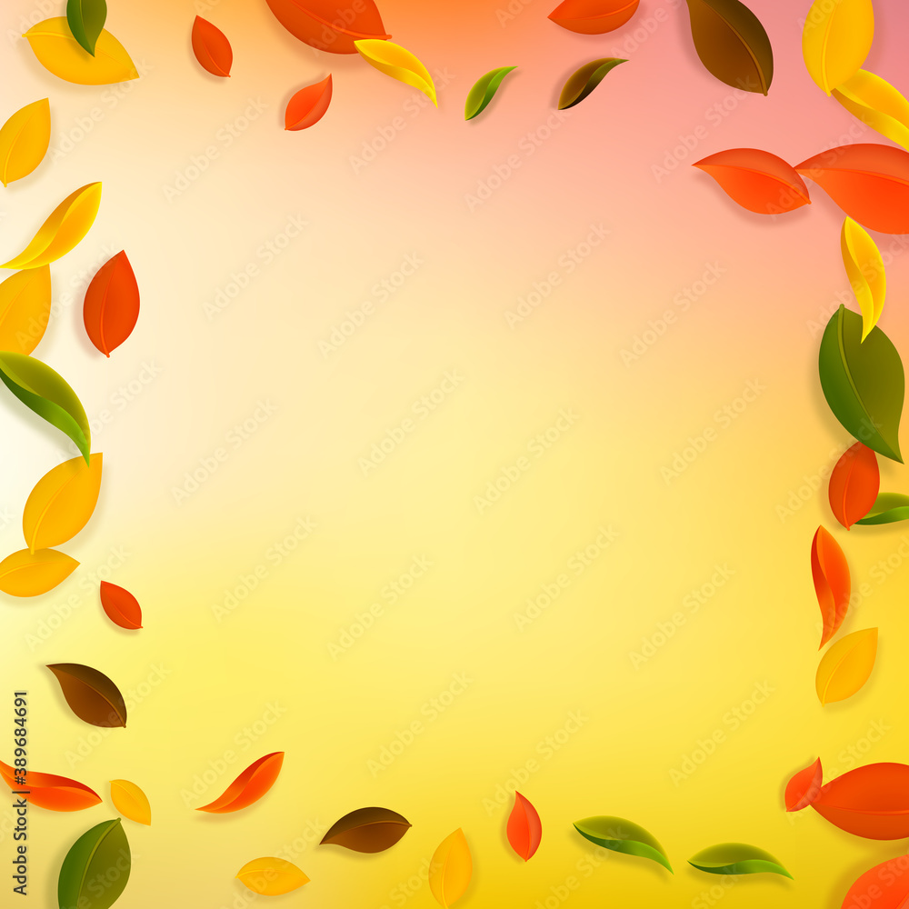 Falling autumn leaves. Red, yellow, green, brown c Falling autumn leaves. Red, yellow, green, brown c