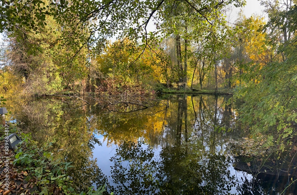 Romantic autumn water view
