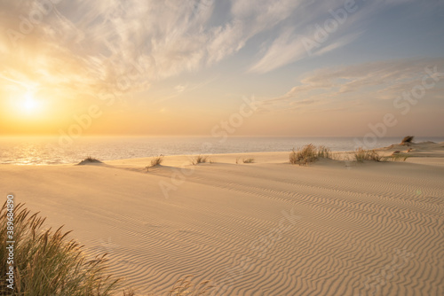 Sand dunes in Kaliningrad. Natural background. Sunrise. © Alexandra Mareeva