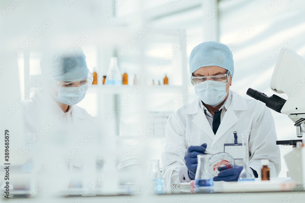 close up. microbiologists study bacteria in a Petri dish. close up. microbiologists study bacteria in a Petri dish.