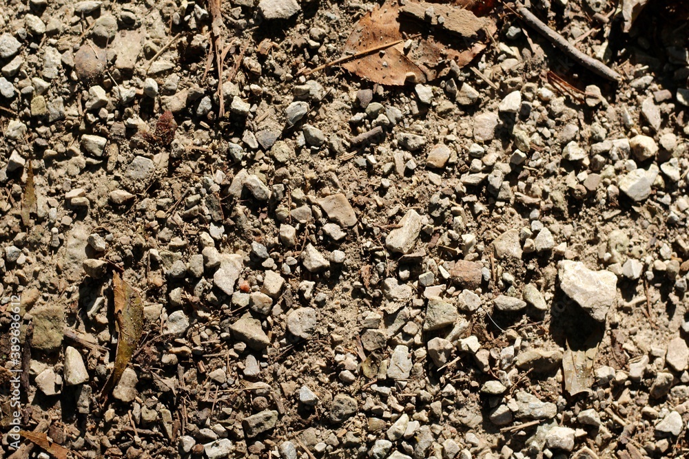 A close view of the pebbles on the gravel surface.