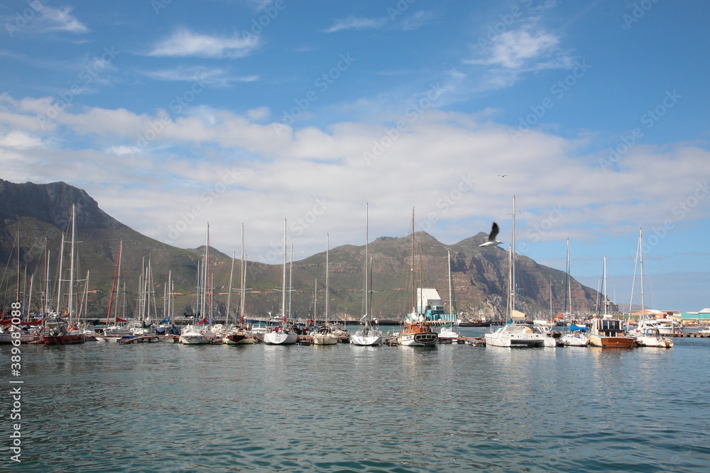 View of Hout Bay with mountains and sailboats floating on ocean in Cape Town, Western Cape Province, South Africa