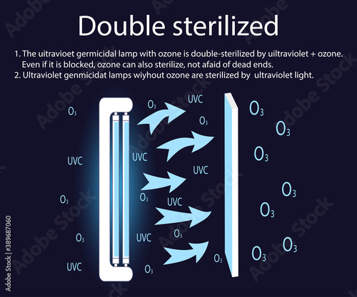 Ultraviolet bactericidal lamp with ozone is double sterilized by ultraviolet and ozone. Even if it is blocked, ozone can also be sterilized without getting rid of dead ends. Vector
