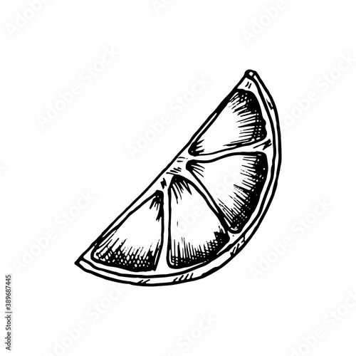 Lemon slice in doodle style hand drawn vector. Lemon wedge sketch. Icon for website, mobile and infographics.