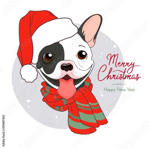 French Bulldog black and white with warm scarf and santa claus hat. Cute winter poster Merry Christmas and Happy New Year. Vector illustration of a dog.New Year card, banner, design for textiles.