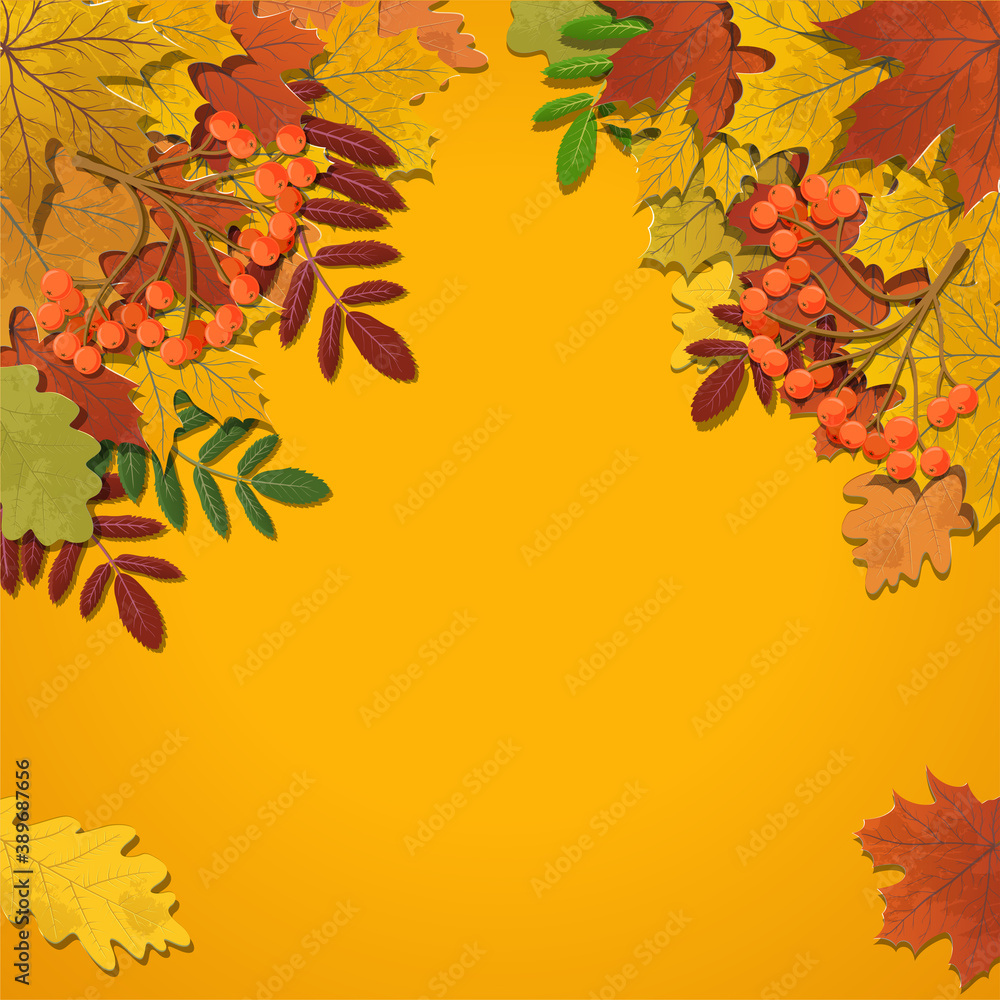 Fototapeta premium Autumn background, tree paper leaves