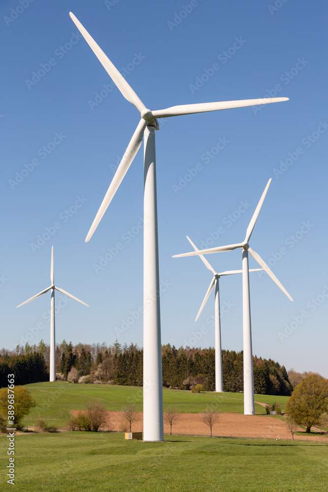 wind turbine in the field