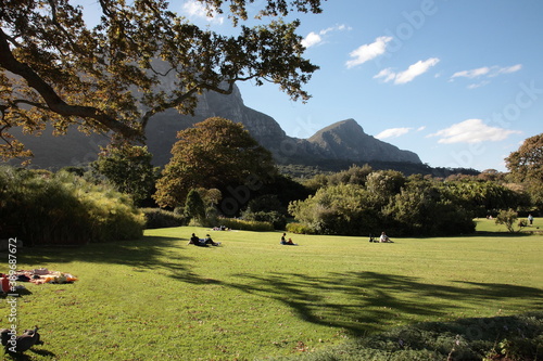 View of Kirstenbosch National Botanical Garden with foot of table Mountain, plants and flowers in Cape Town, South Africa
