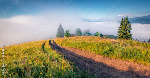 Picturesque summer view of Carpathian Mountains. Foggy morning scene of Stebnyi village, Transcarpathians, Ukraine, Europe. Traveling concept background. photo