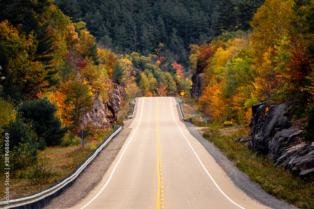 Fototapeta premium road in autumn