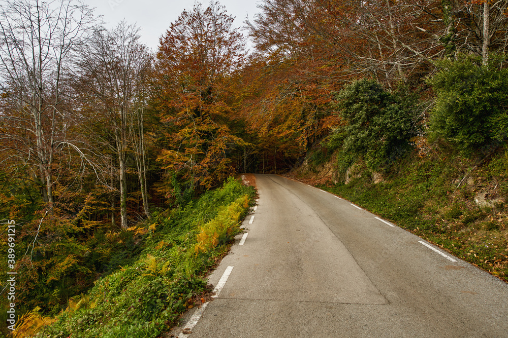 View of mountain road. Asphalt roads, during autumn season.