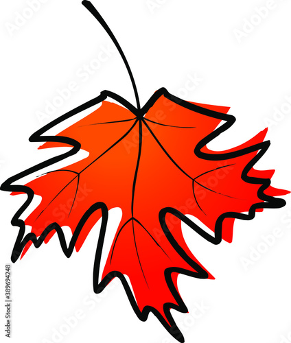 A red maple leap in an artistic, freehand style.