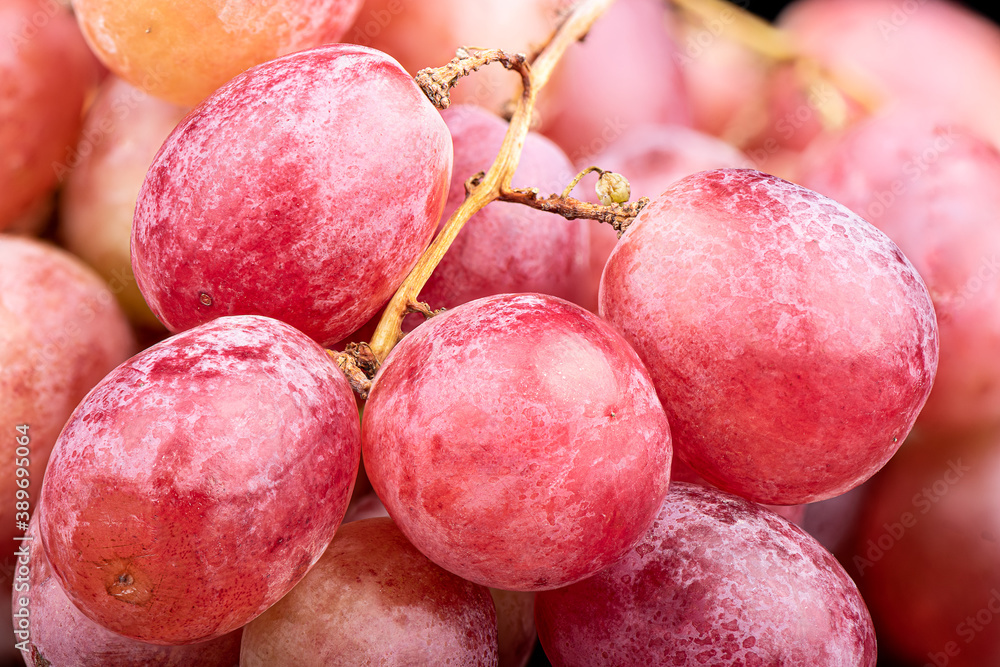Selective focus of berries of a bunch of ripe red grapes. Selective focus of berries of a bunch of ripe red grapes.