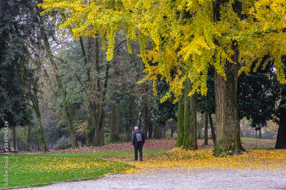 Monza, parco cittadino Monza, parco cittadino