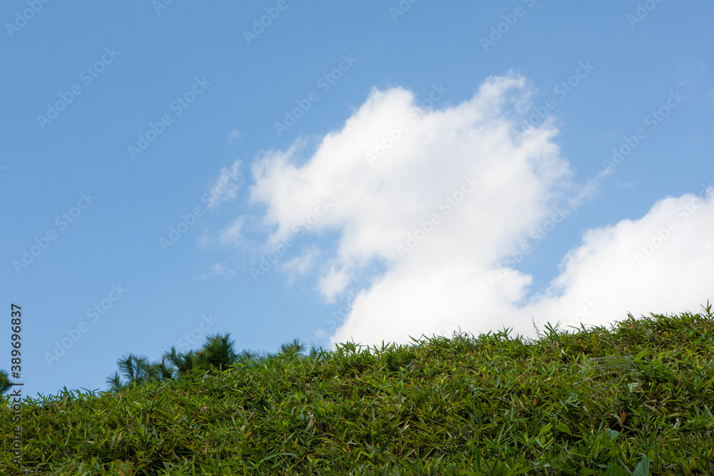 Obraz premium 草原と空